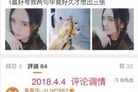 革吉婚外情调查取证：涉外离婚案件中需提交的材料